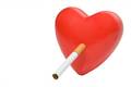 srdce-cevy-a-koureni-kardiovaskularni-nemoci-zpusobene-ovlivnene-kourenim-cigaret